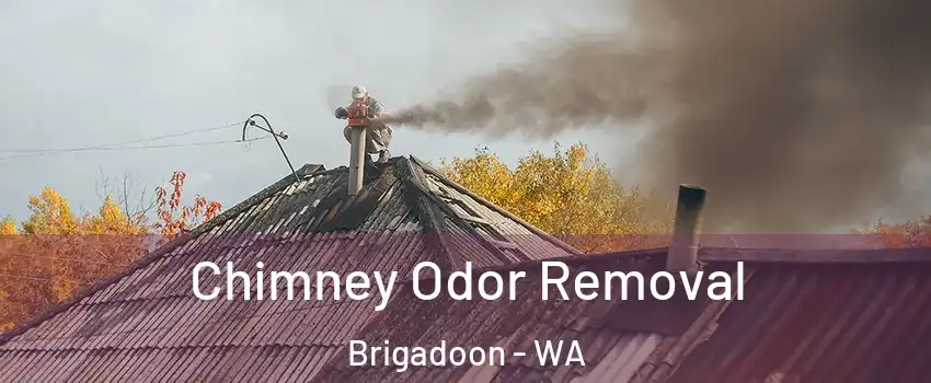 Chimney Odor Removal Brigadoon - WA