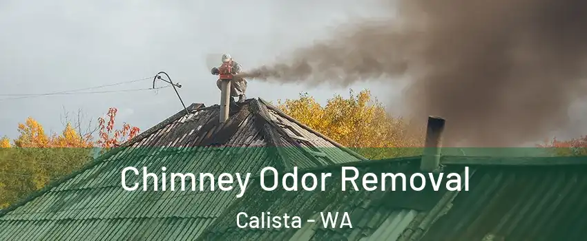 Chimney Odor Removal Calista - WA