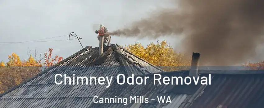 Chimney Odor Removal Canning Mills - WA