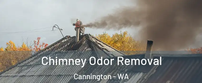 Chimney Odor Removal Cannington - WA