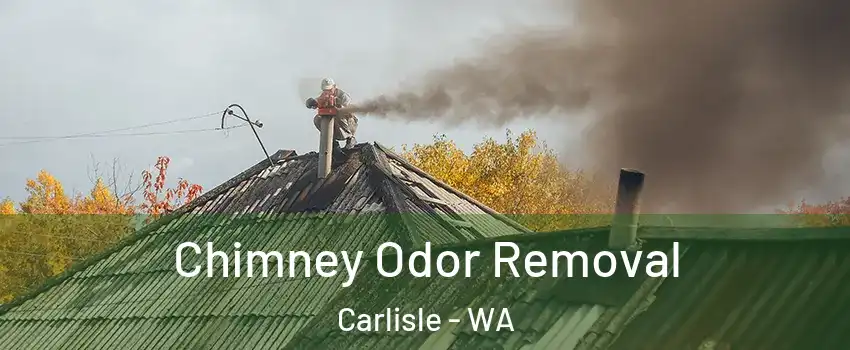 Chimney Odor Removal Carlisle - WA