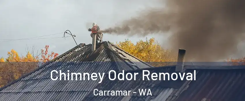 Chimney Odor Removal Carramar - WA