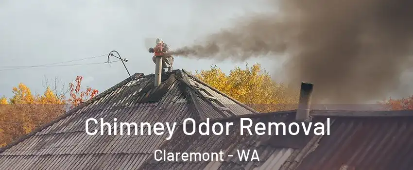 Chimney Odor Removal Claremont - WA