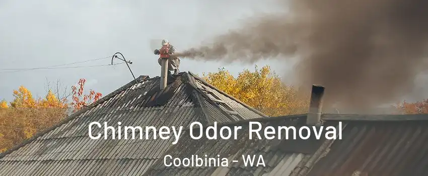 Chimney Odor Removal Coolbinia - WA