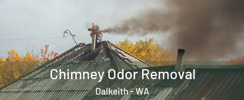 Chimney Odor Removal Dalkeith - WA