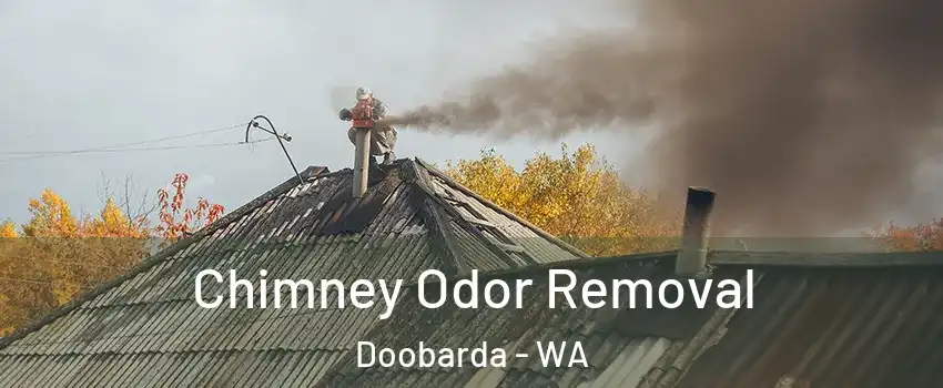 Chimney Odor Removal Doobarda - WA