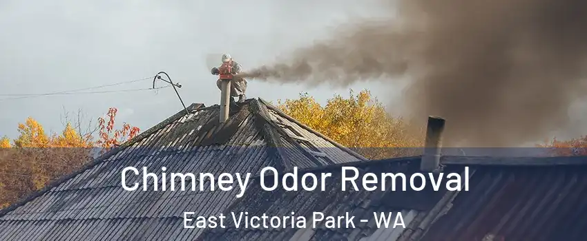 Chimney Odor Removal East Victoria Park - WA