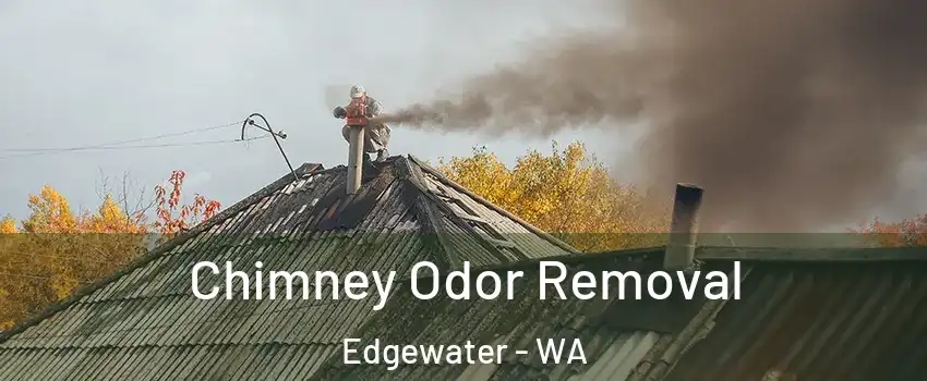 Chimney Odor Removal Edgewater - WA
