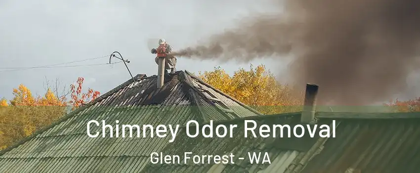 Chimney Odor Removal Glen Forrest - WA