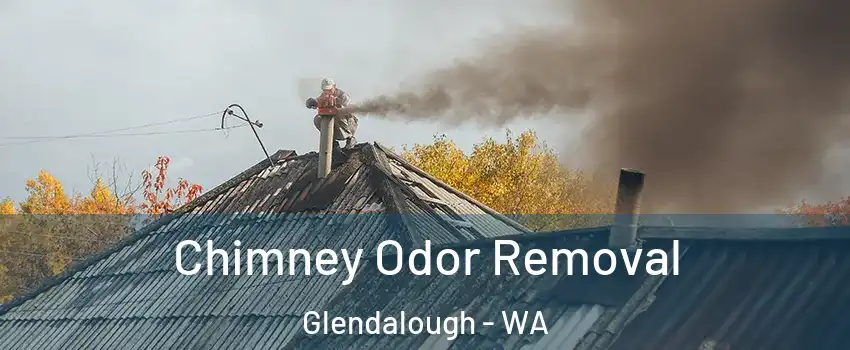 Chimney Odor Removal Glendalough - WA