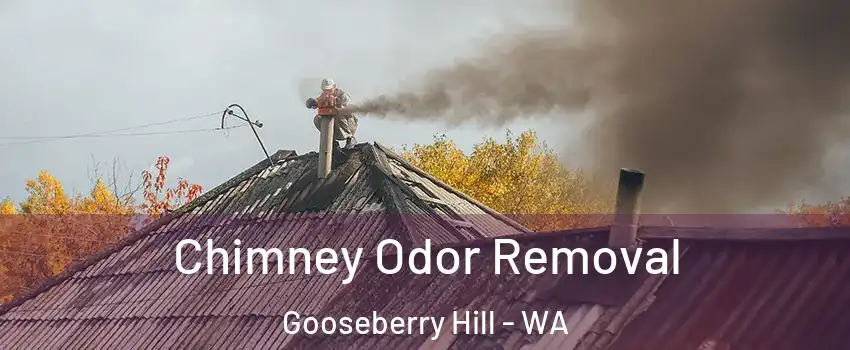 Chimney Odor Removal Gooseberry Hill - WA