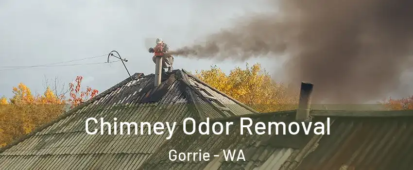 Chimney Odor Removal Gorrie - WA