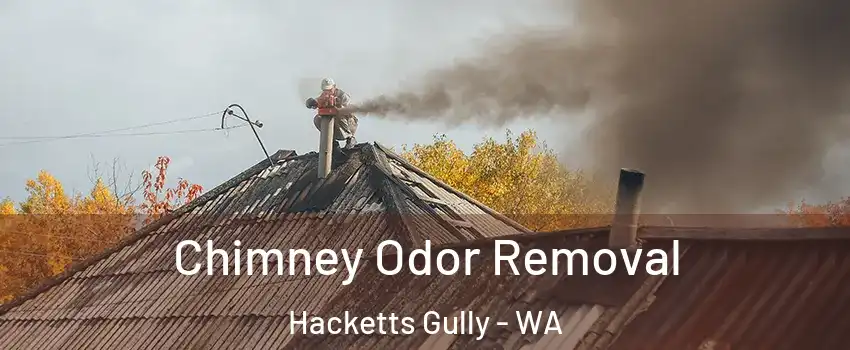 Chimney Odor Removal Hacketts Gully - WA