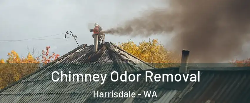 Chimney Odor Removal Harrisdale - WA