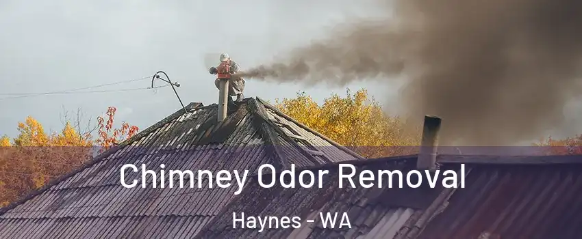 Chimney Odor Removal Haynes - WA