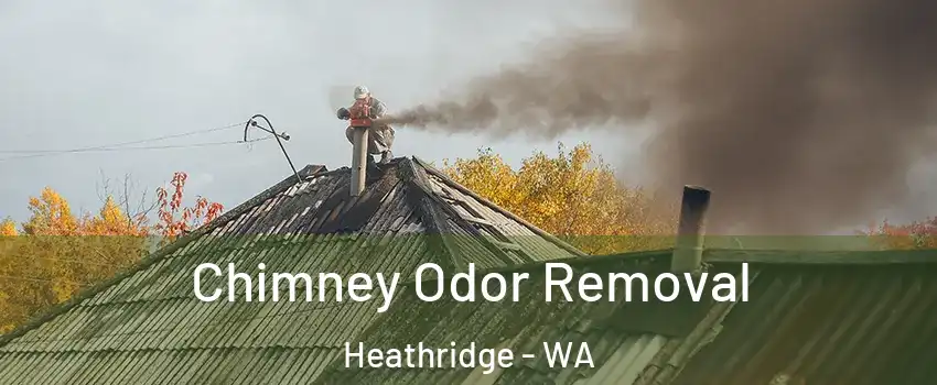Chimney Odor Removal Heathridge - WA