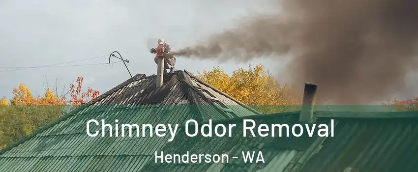 Chimney Odor Removal Henderson - WA