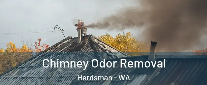 Chimney Odor Removal Herdsman - WA