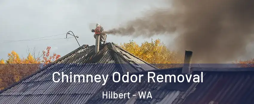 Chimney Odor Removal Hilbert - WA