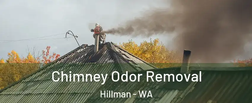 Chimney Odor Removal Hillman - WA