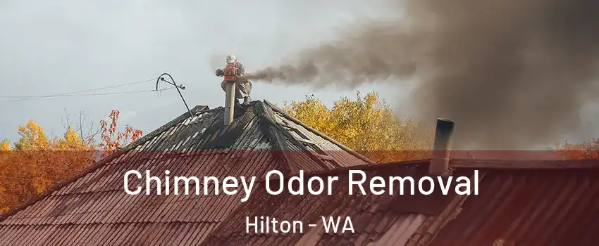 Chimney Odor Removal Hilton - WA