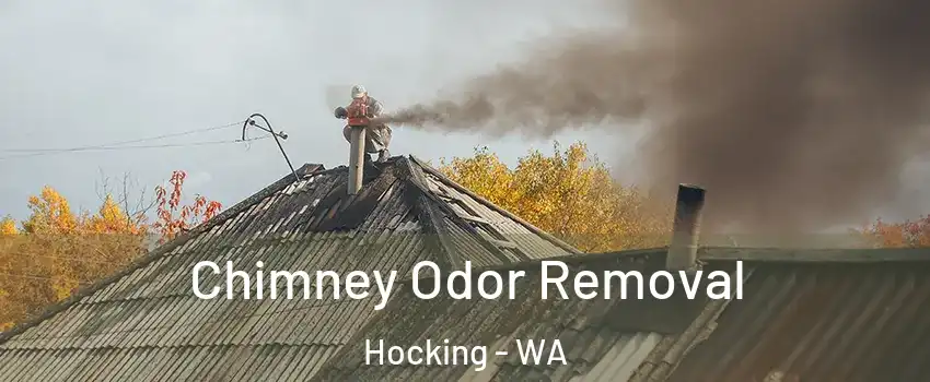 Chimney Odor Removal Hocking - WA