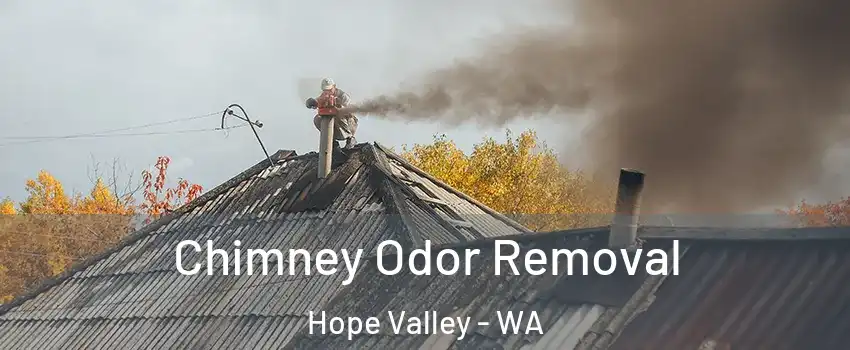Chimney Odor Removal Hope Valley - WA
