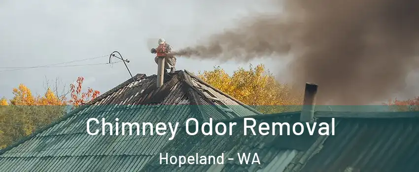 Chimney Odor Removal Hopeland - WA