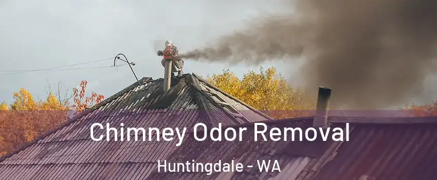Chimney Odor Removal Huntingdale - WA
