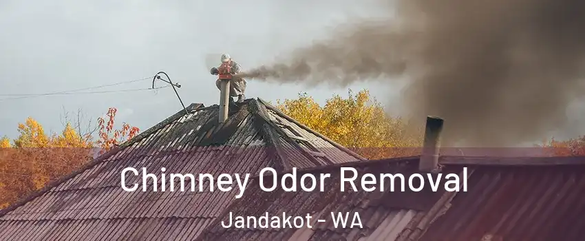 Chimney Odor Removal Jandakot - WA