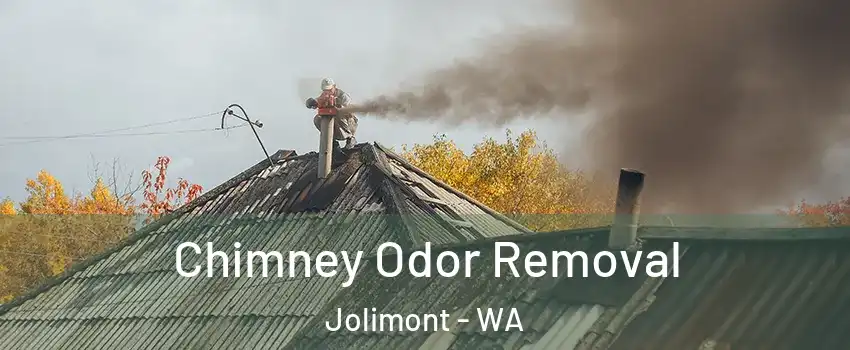 Chimney Odor Removal Jolimont - WA