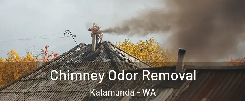 Chimney Odor Removal Kalamunda - WA