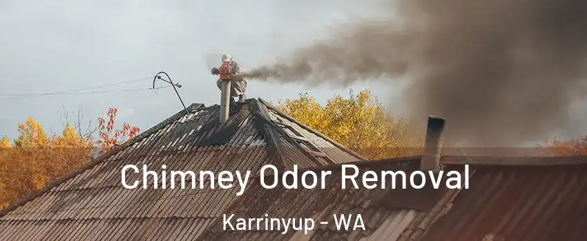 Chimney Odor Removal Karrinyup - WA