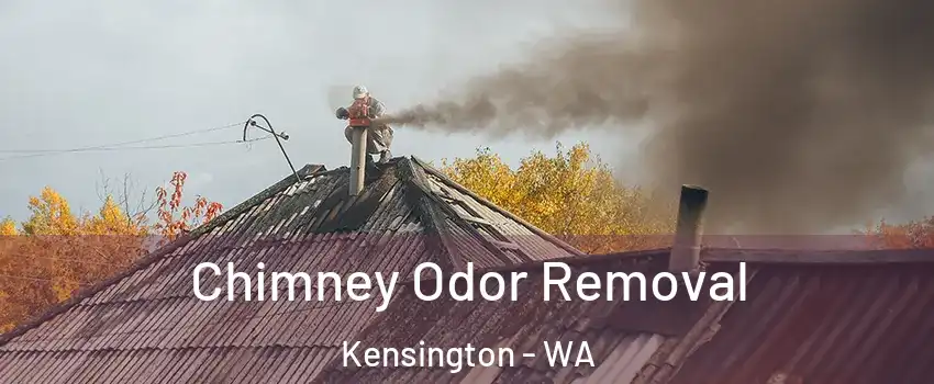 Chimney Odor Removal Kensington - WA