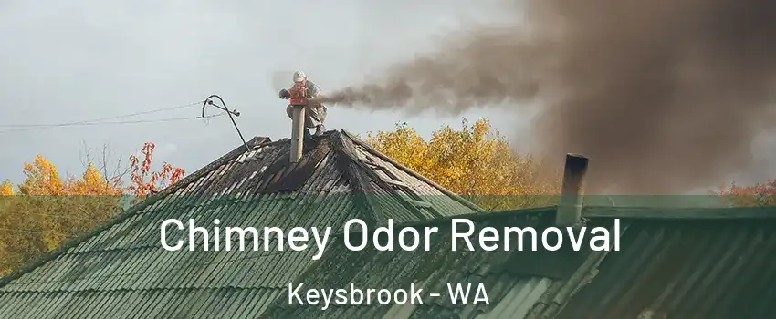Chimney Odor Removal Keysbrook - WA