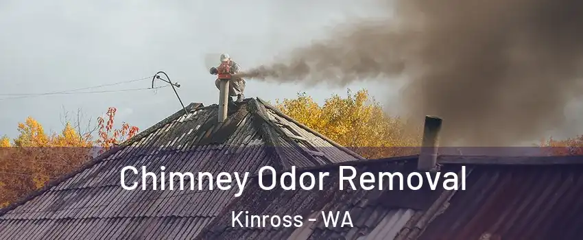 Chimney Odor Removal Kinross - WA