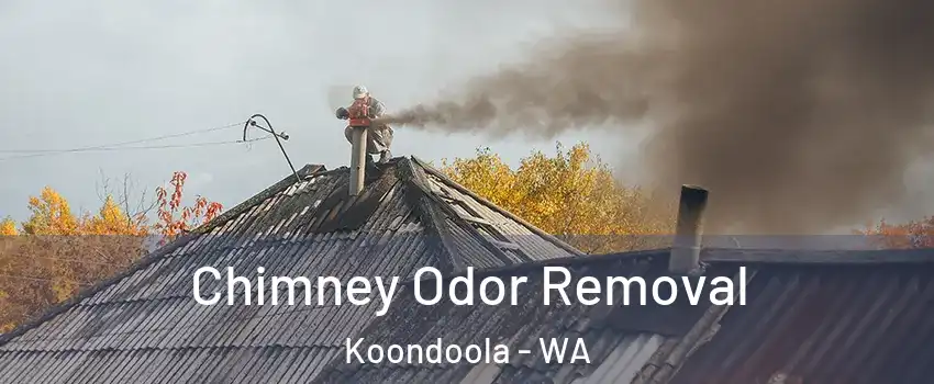 Chimney Odor Removal Koondoola - WA