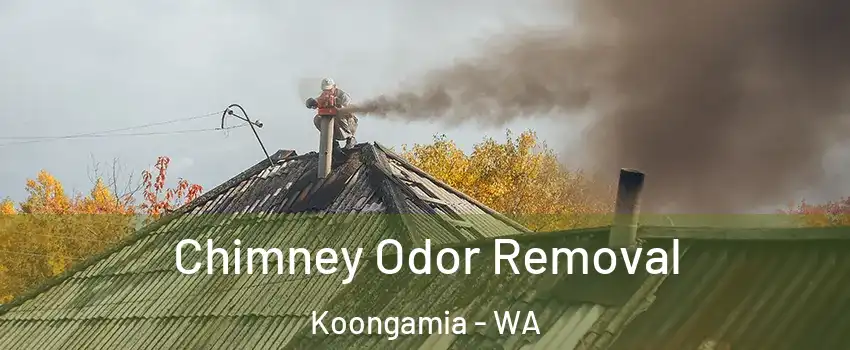 Chimney Odor Removal Koongamia - WA