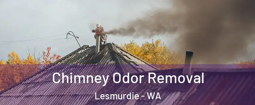 Chimney Odor Removal Lesmurdie - WA
