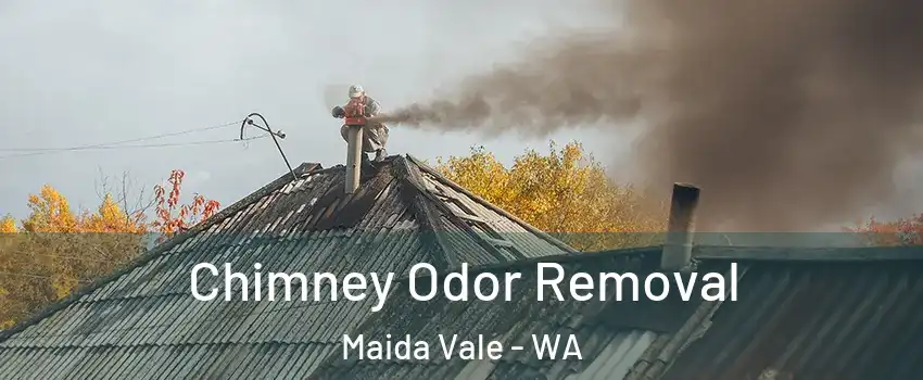 Chimney Odor Removal Maida Vale - WA