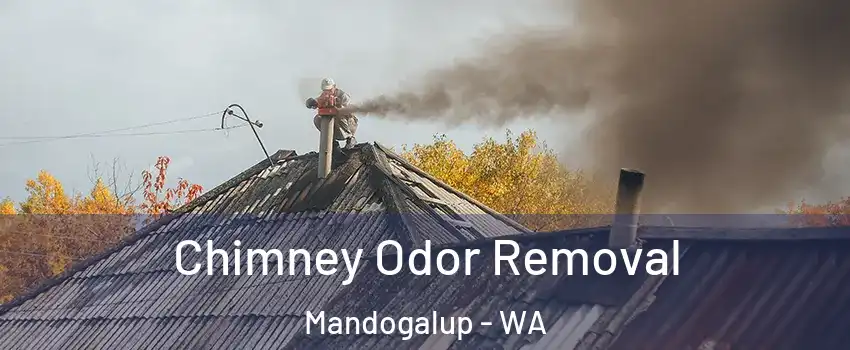 Chimney Odor Removal Mandogalup - WA