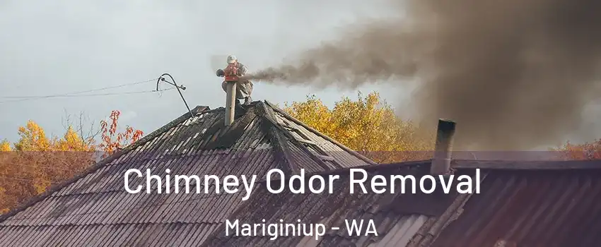 Chimney Odor Removal Mariginiup - WA
