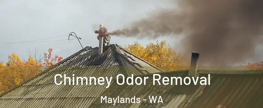Chimney Odor Removal Maylands - WA
