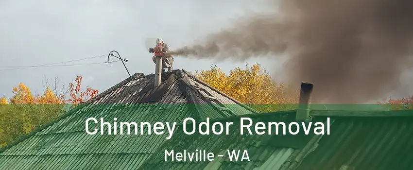 Chimney Odor Removal Melville - WA