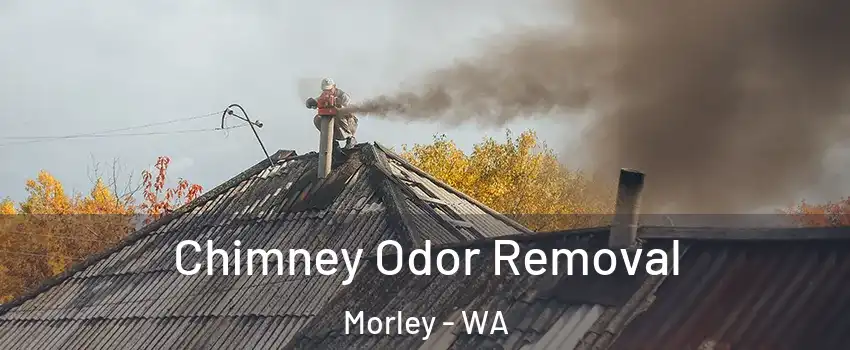 Chimney Odor Removal Morley - WA