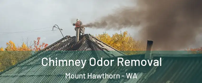 Chimney Odor Removal Mount Hawthorn - WA