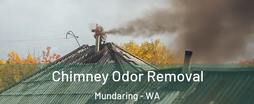 Chimney Odor Removal Mundaring - WA