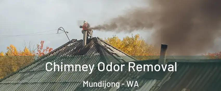 Chimney Odor Removal Mundijong - WA
