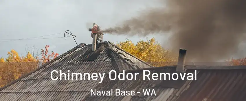 Chimney Odor Removal Naval Base - WA