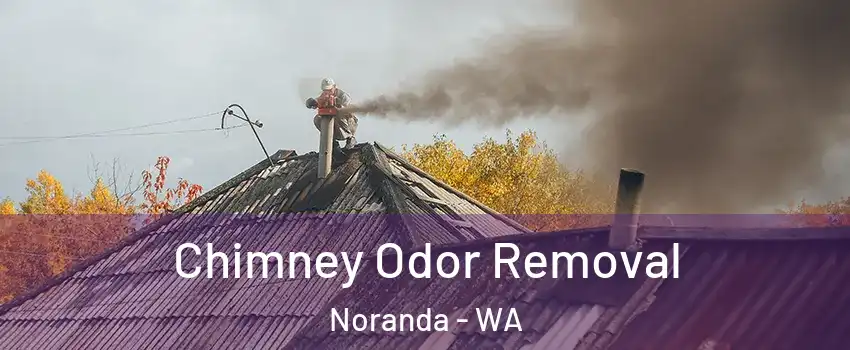 Chimney Odor Removal Noranda - WA